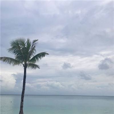 时空中的绘旅人韩服官方版下载